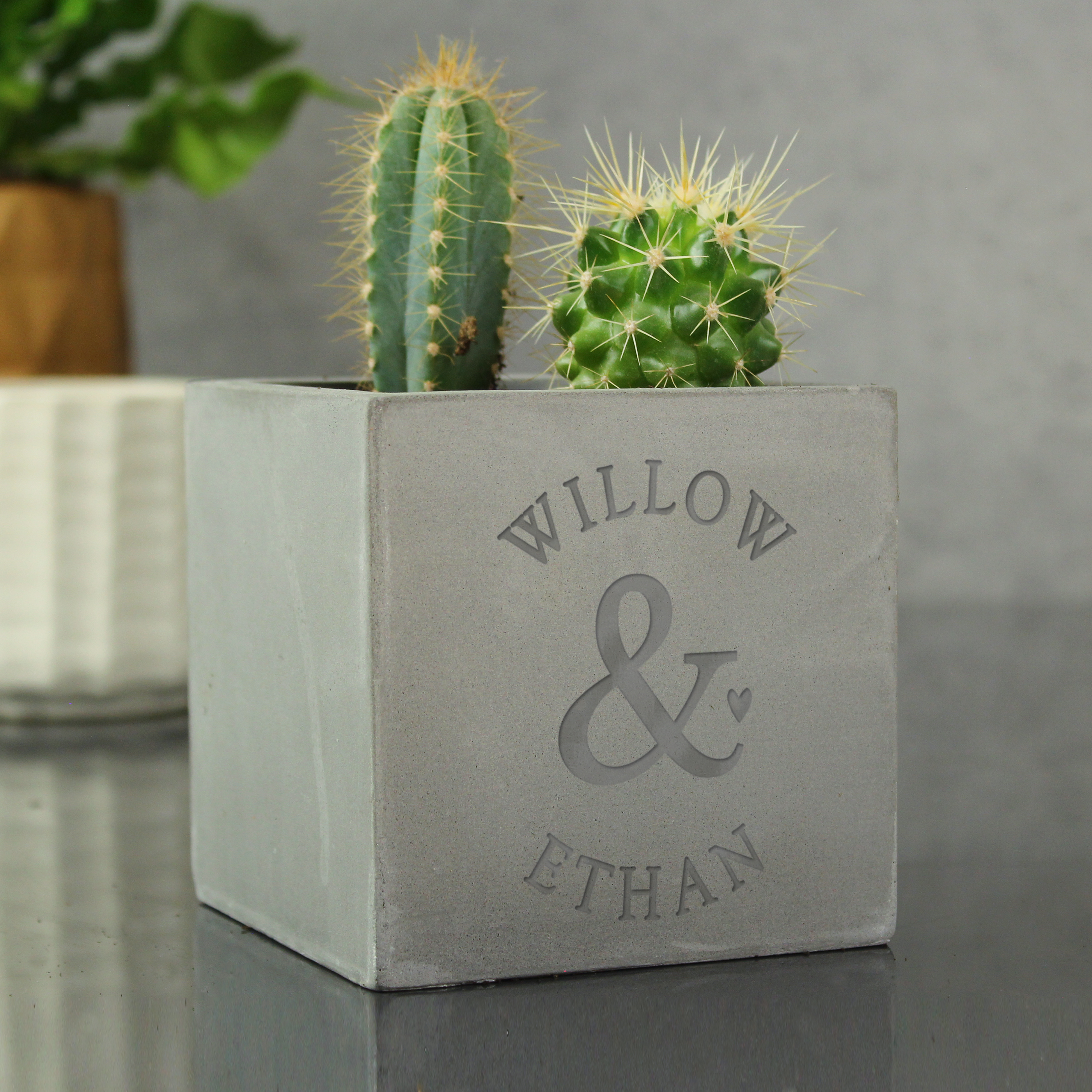 Personalised Couples Plant Pot | Custom Concrete Ampersand Planter