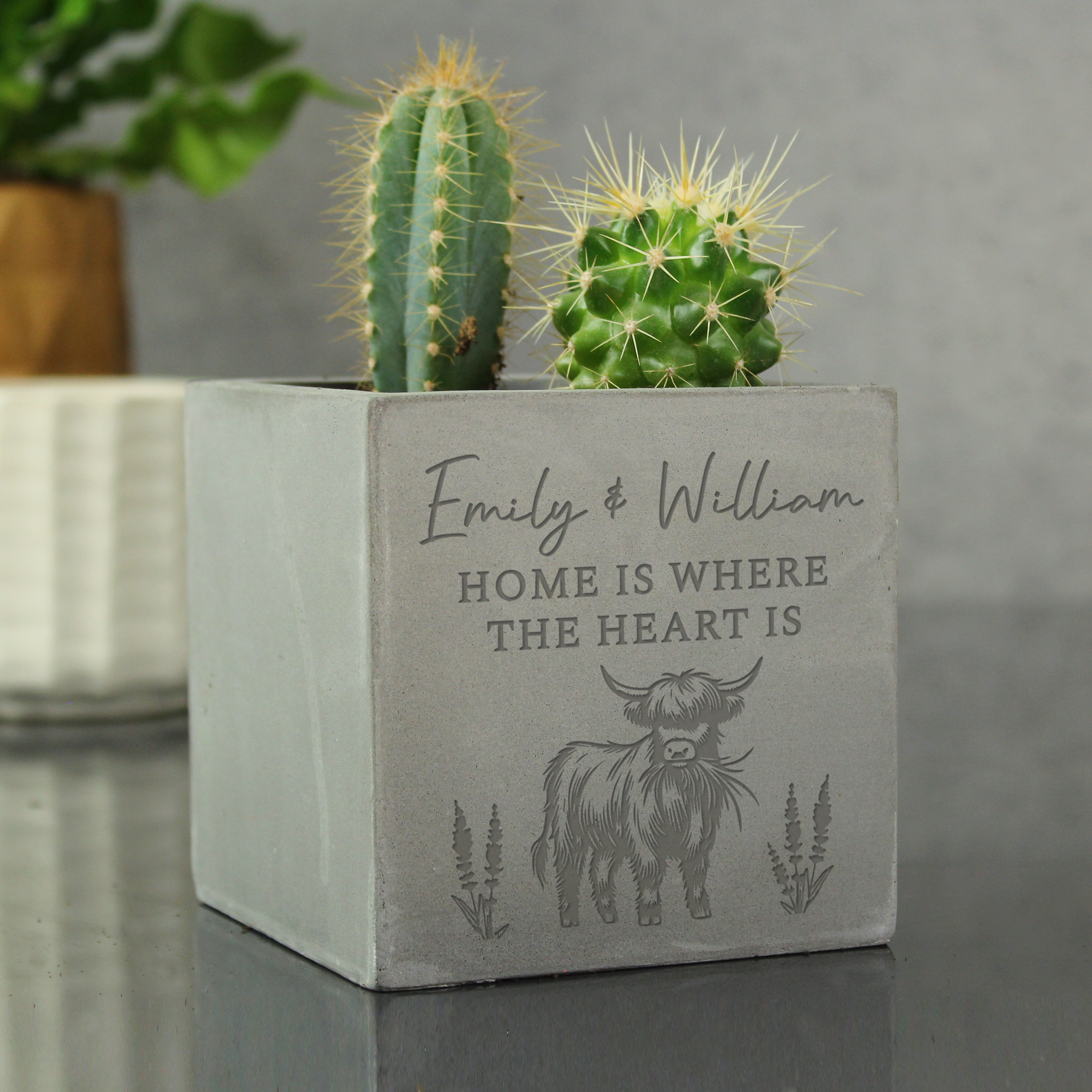 Personalised Highland Cow Plant Pot | Custom Concrete Planter