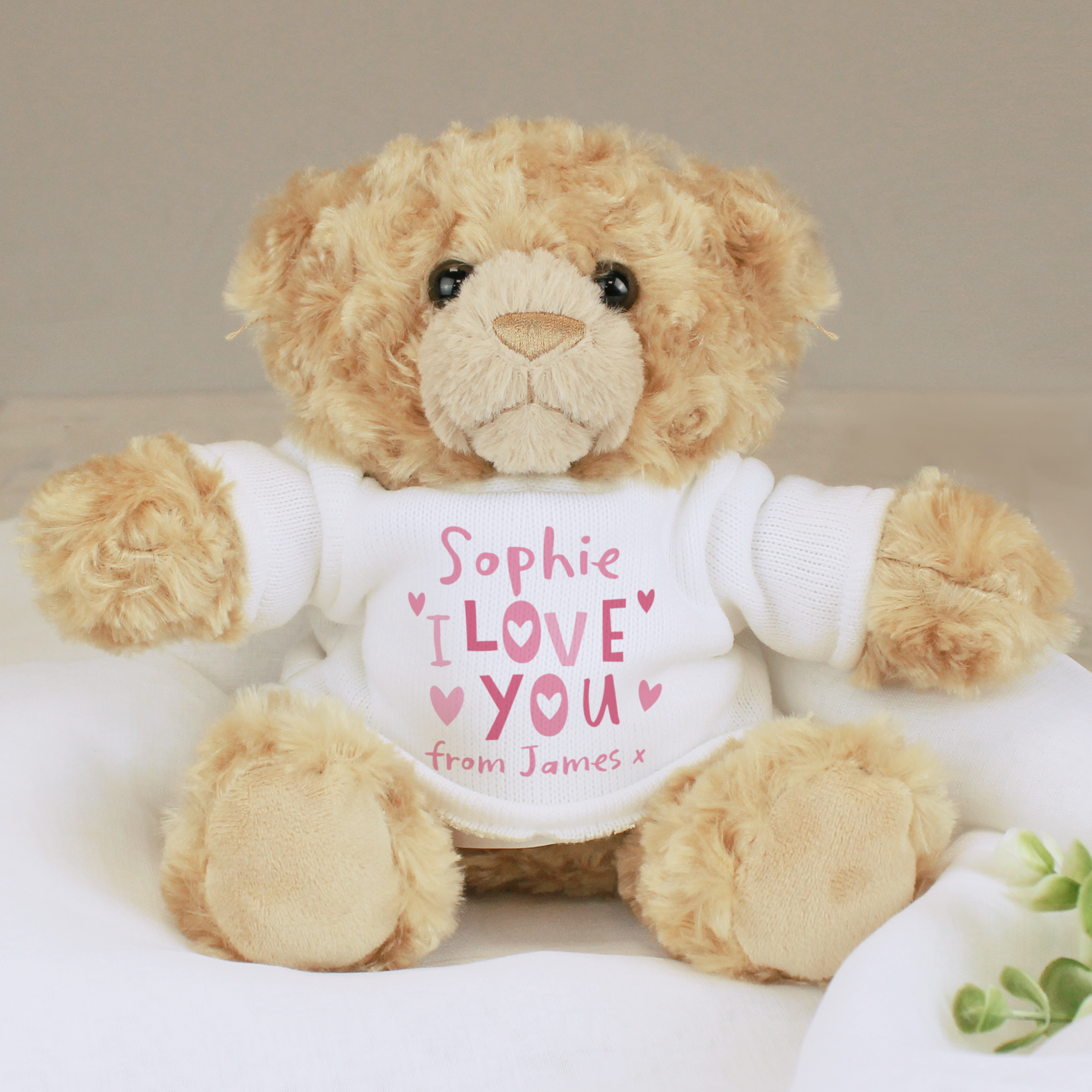 Personalised 'I Love You' Teddy Bear