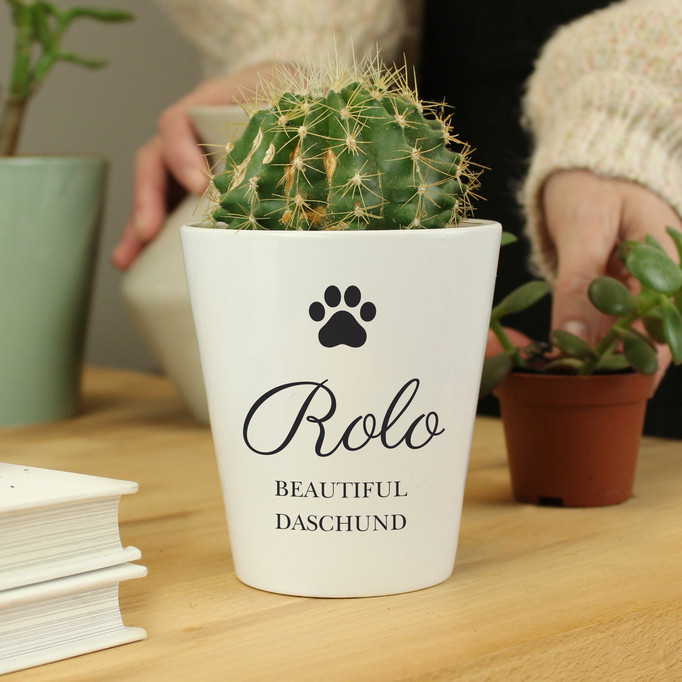 Personalised Paw Print Plant Pot | Custom Ceramic Planter