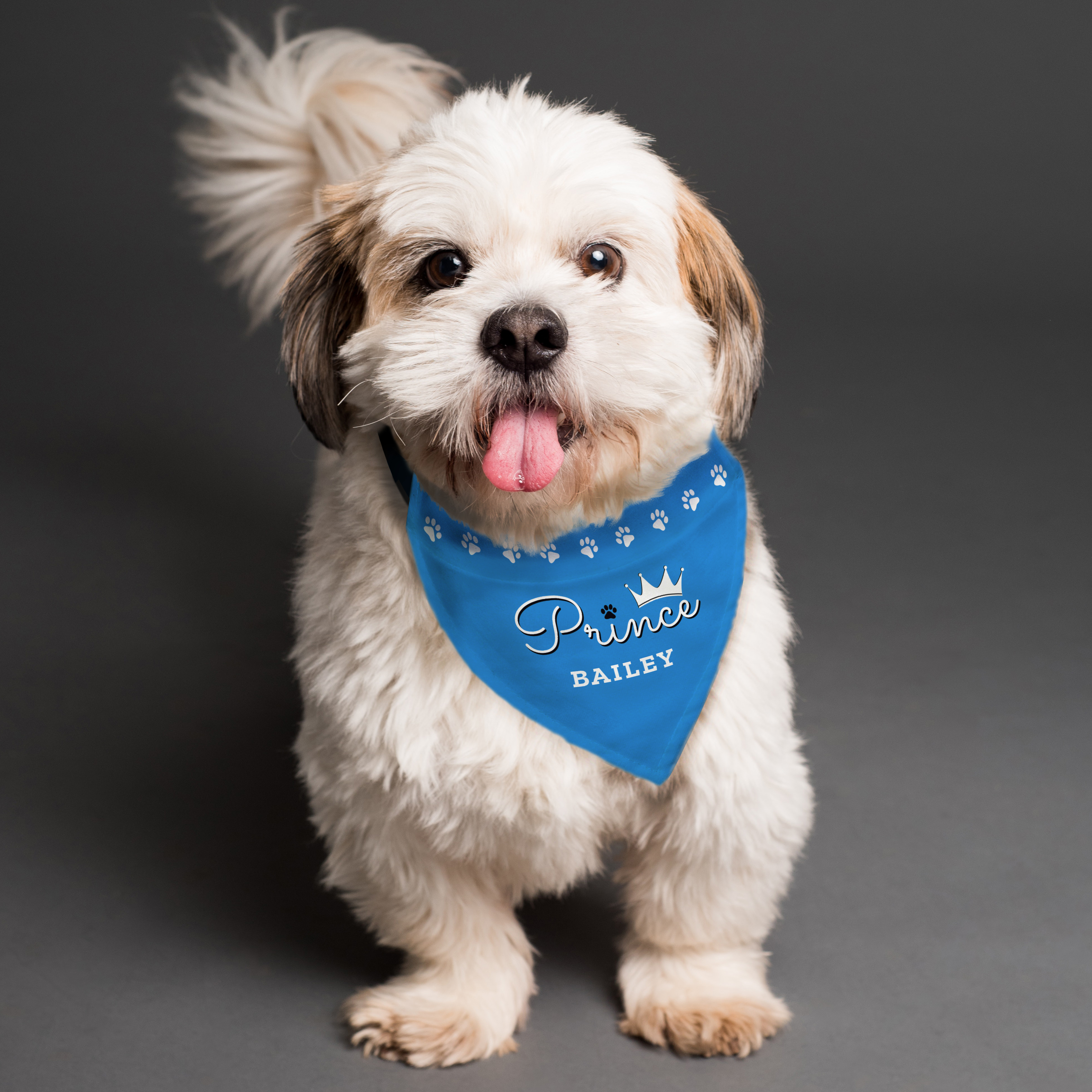Personalised Prince Dog Bandana for Small to Medium Dogs