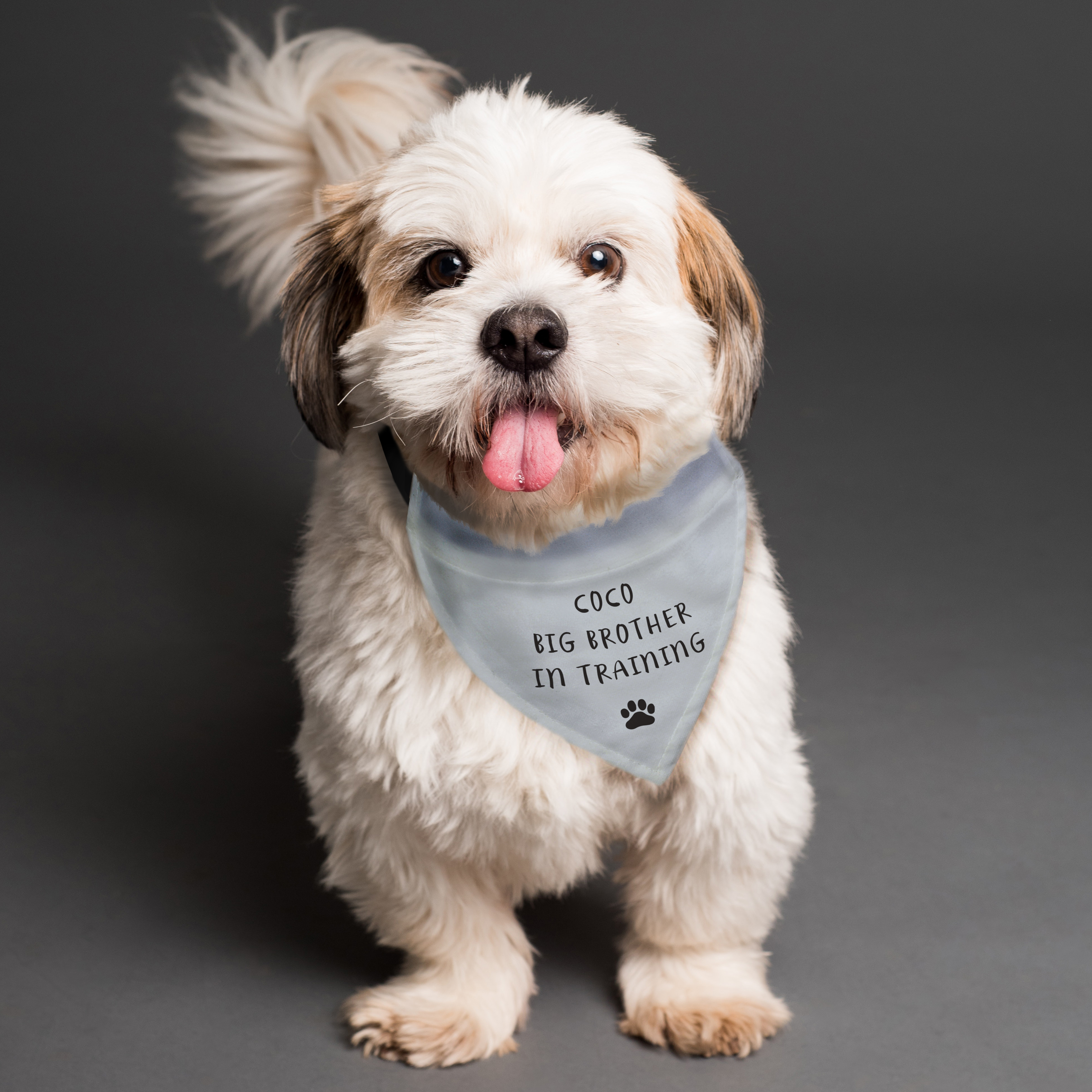 Personalised Dog Bandana for Small to Medium Dogs