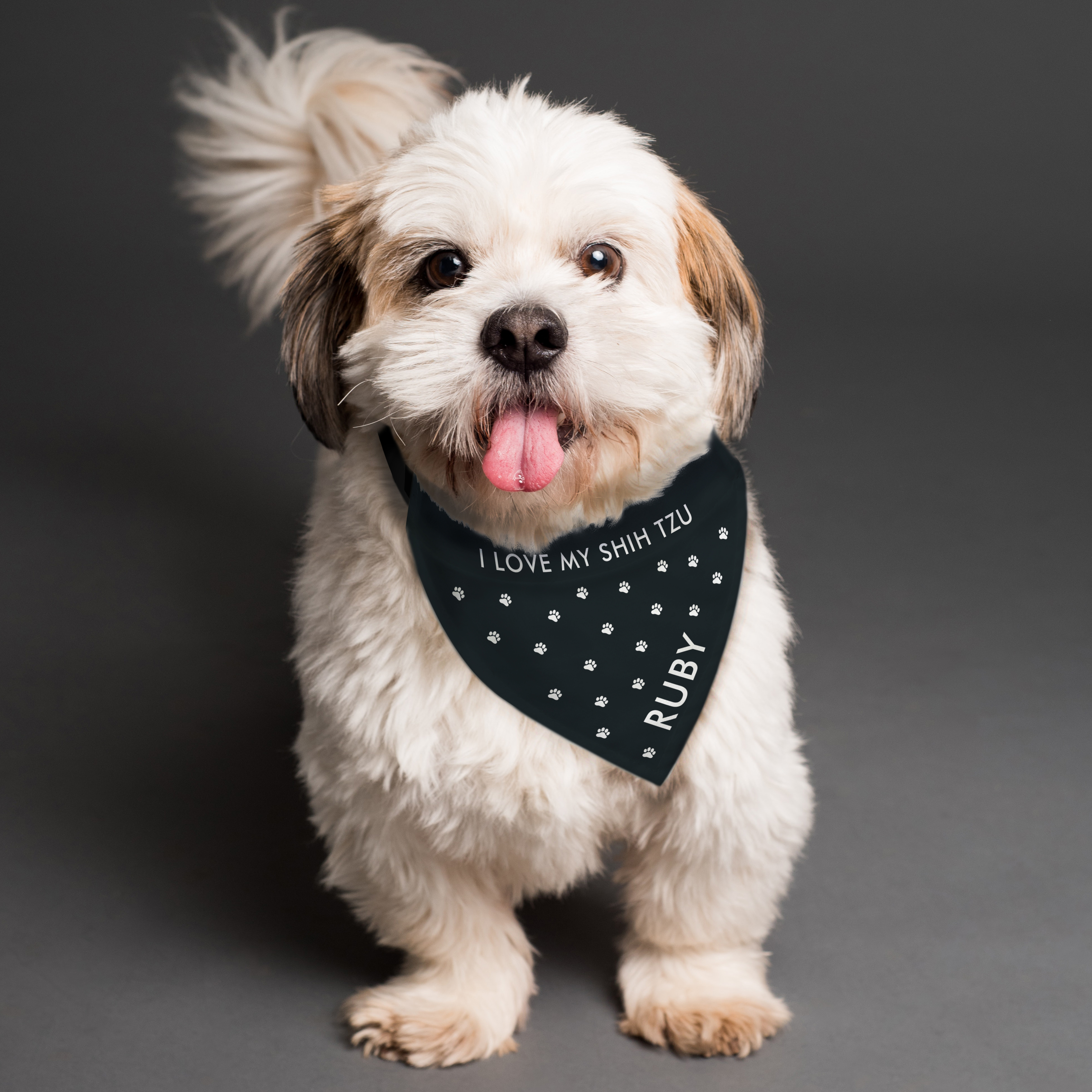 Personalised Paw Print Dog Bandana for Small/Medium Dogs
