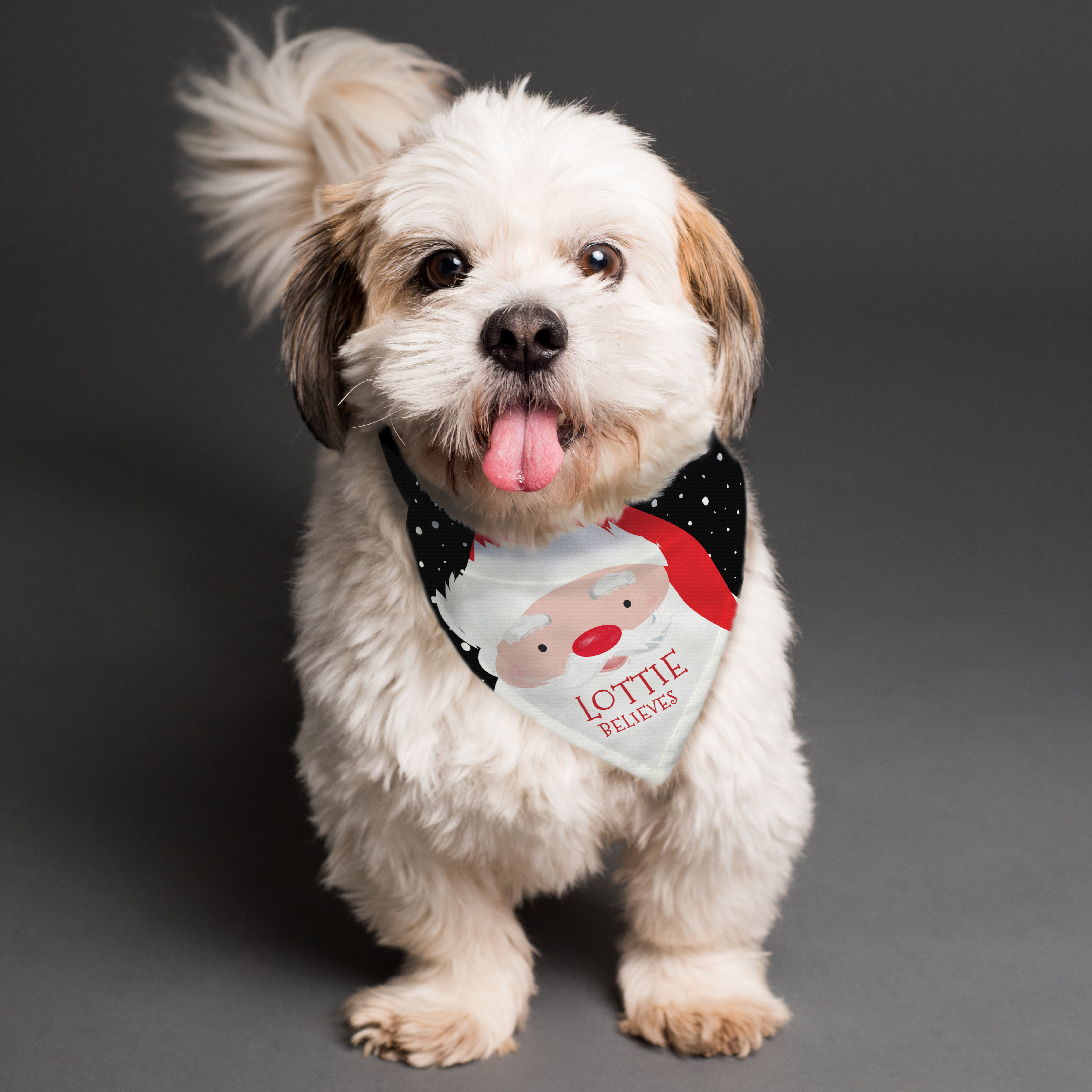 Personalised Santa Dog Bandana for Small/Medium Dogs
