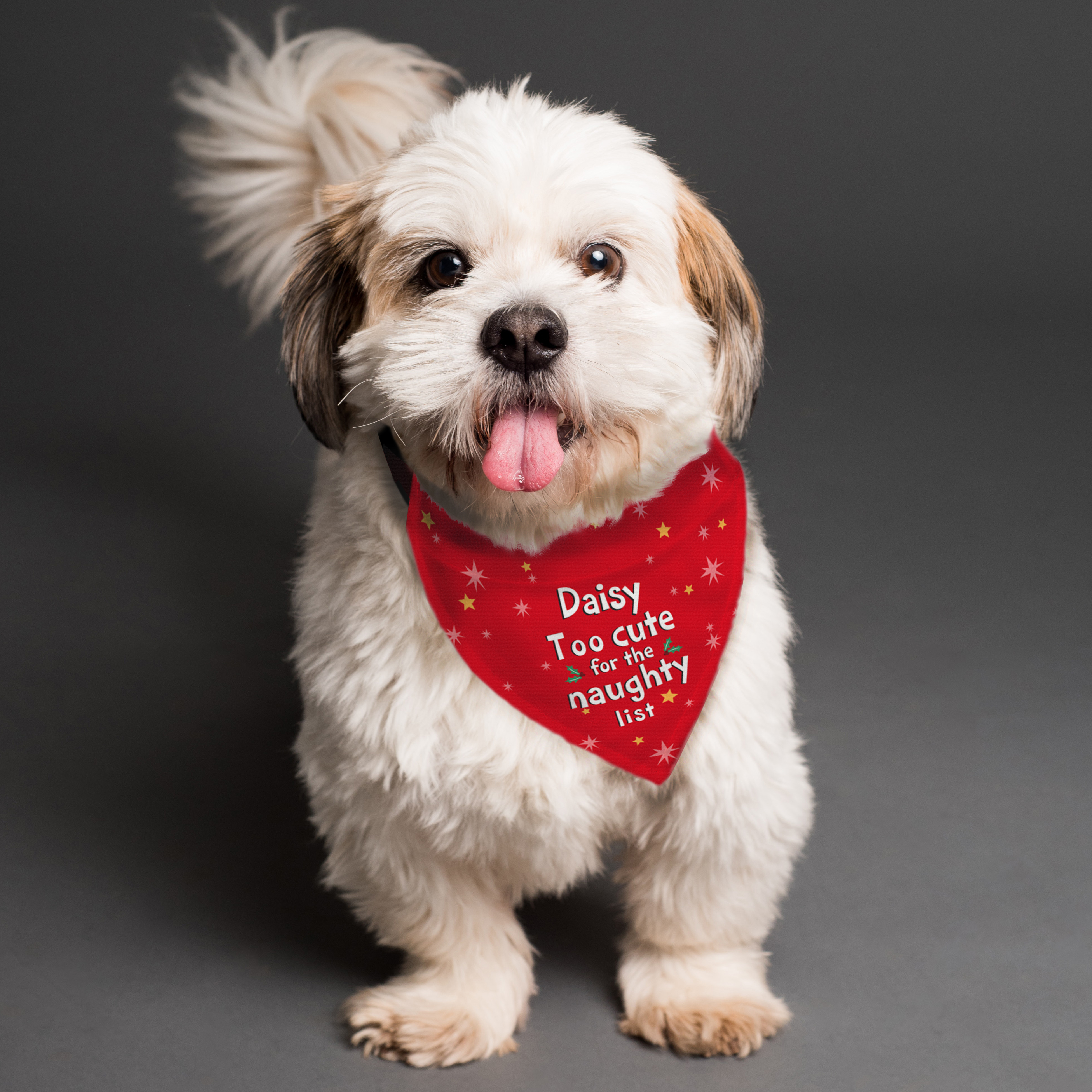 Personalised 'Too Cute for Naughty List' Dog Bandana