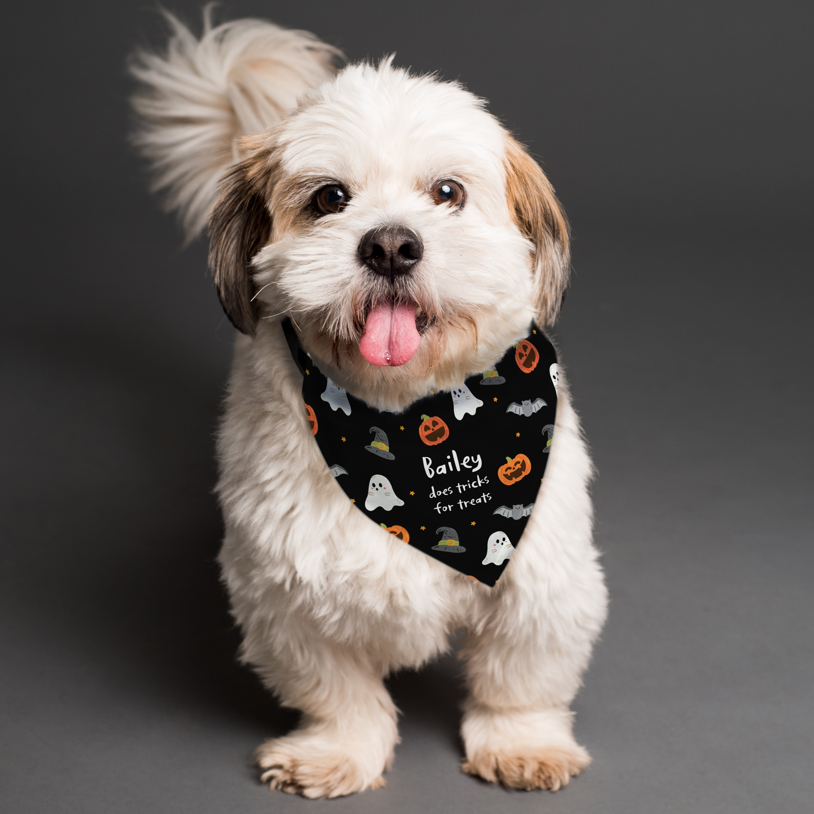 Personalised Halloween Dog Bandana for Small to Medium Dogs