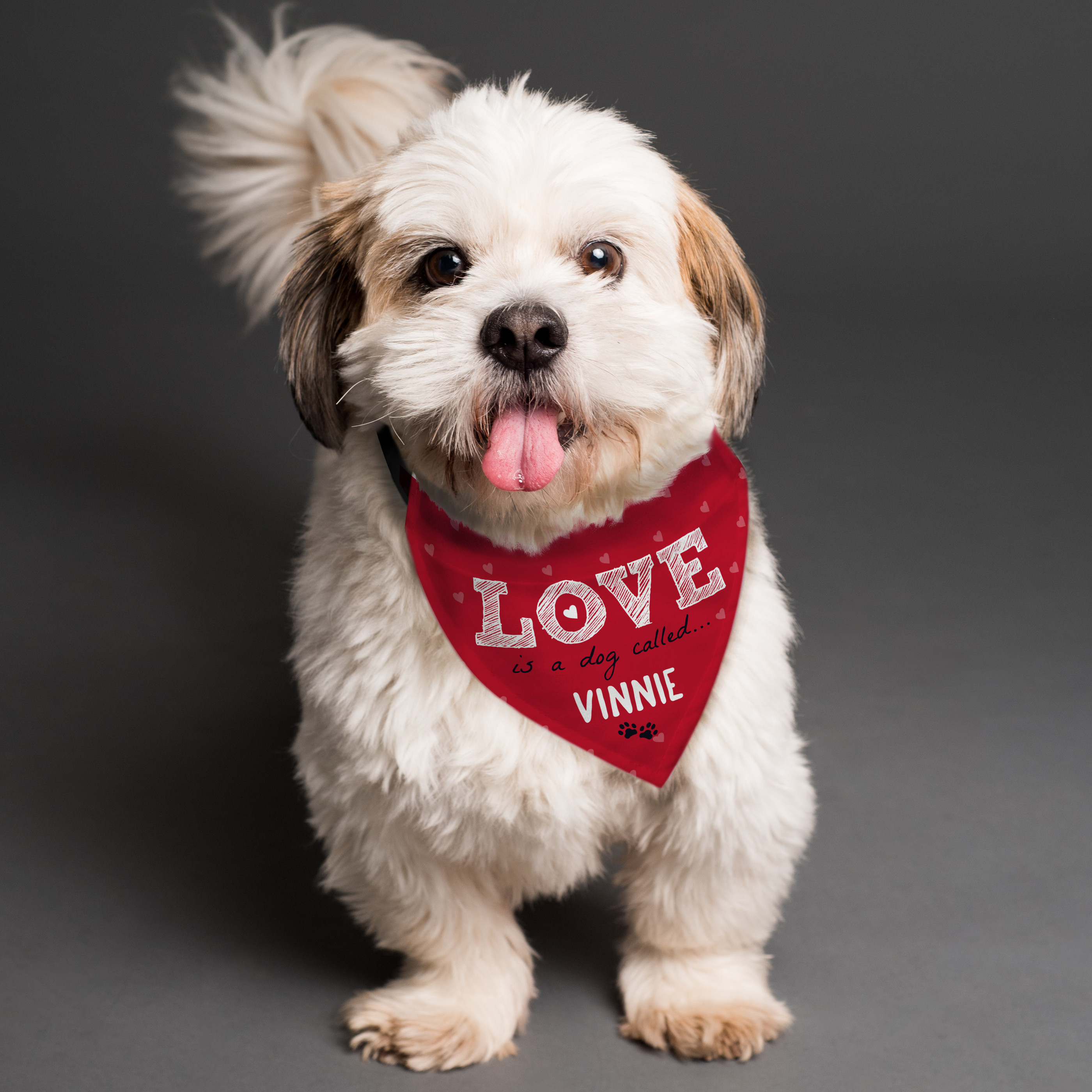 Personalised 'Love Is...' Dog Bandana for Small to Medium Dogs