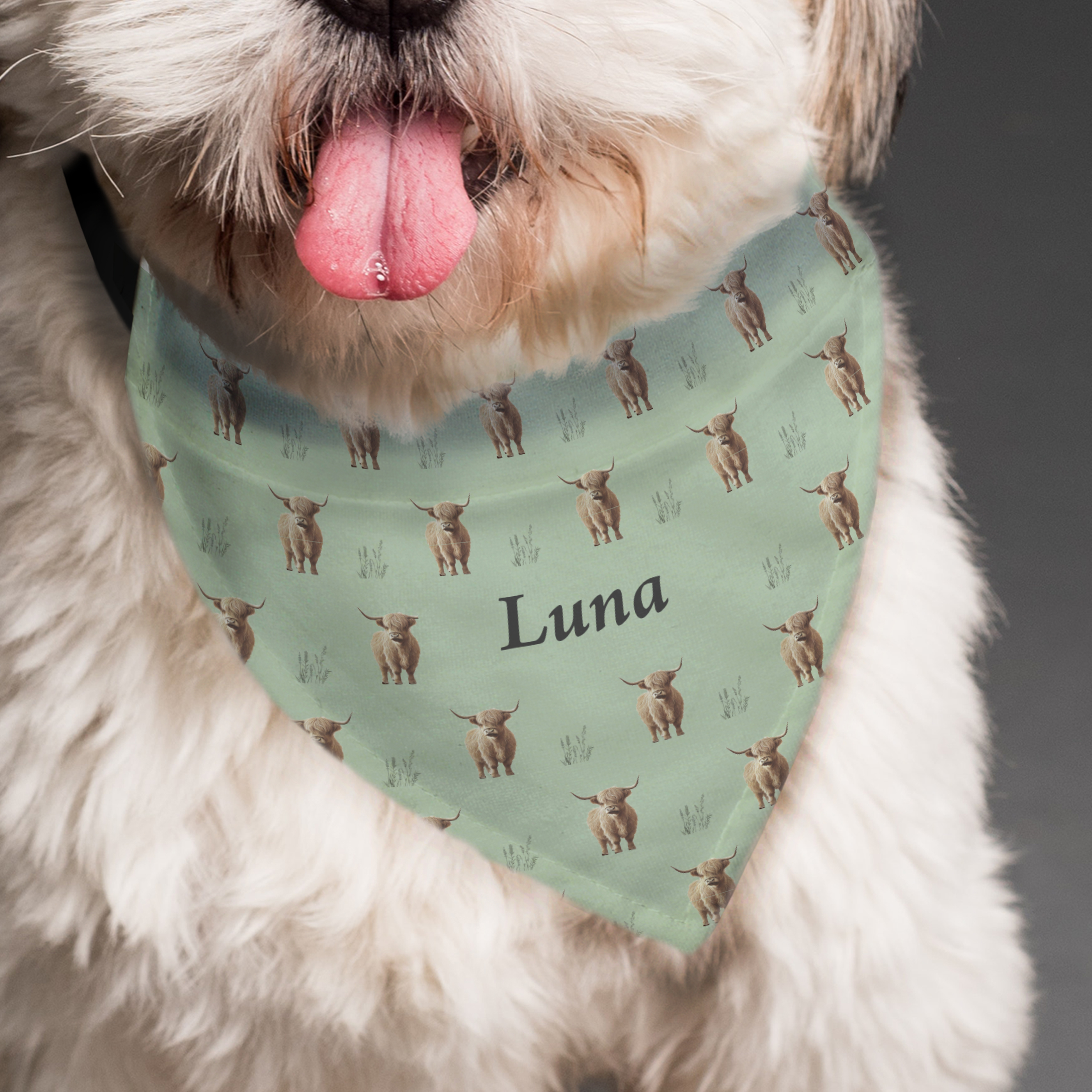 Personalised Highland Cow Dog Bandana for Small to Medium Dogs