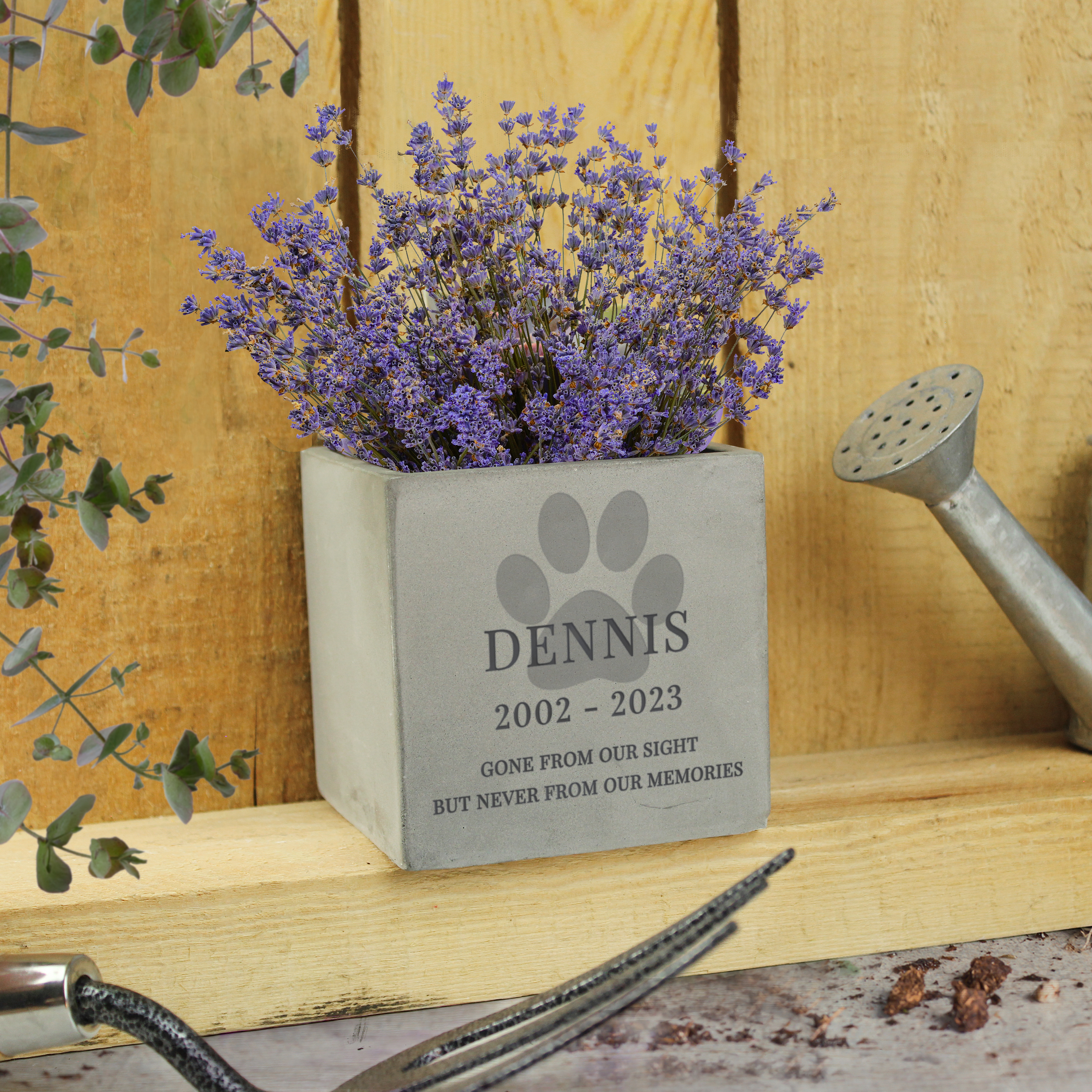 Personalised Pet Memorial Concrete Plant Pot with Paw Print